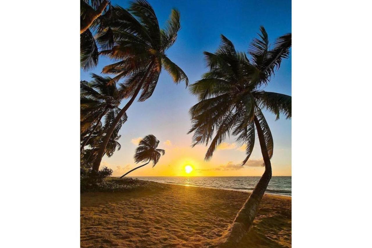 Mare Suites Patacho Pôrto de Pedras エクステリア 写真